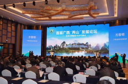 首届广西“两山”发展论坛在南宁举办